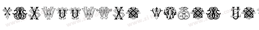 Intellecta Roman Tal字体转换